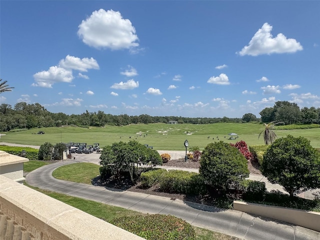 view of property's community with a yard