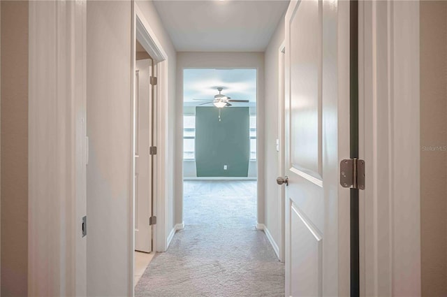 hallway with light colored carpet