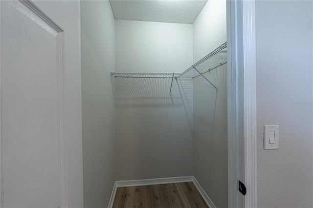 walk in closet featuring hardwood / wood-style floors