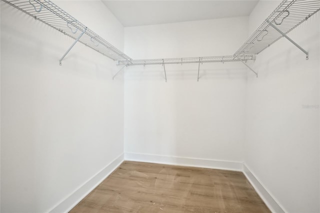 walk in closet featuring hardwood / wood-style floors