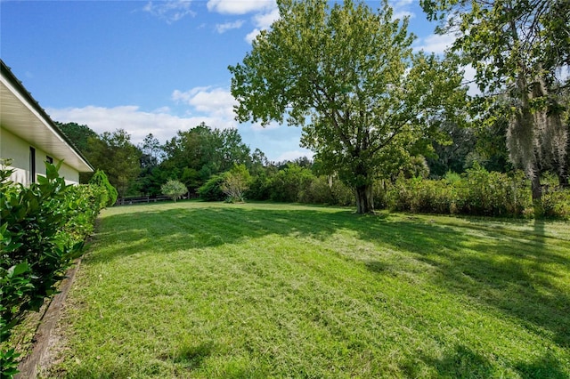 view of yard