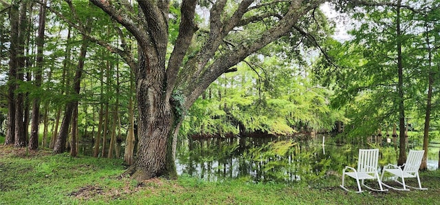 view of yard with a water view