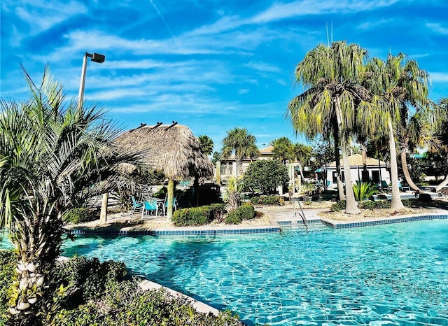 view of swimming pool