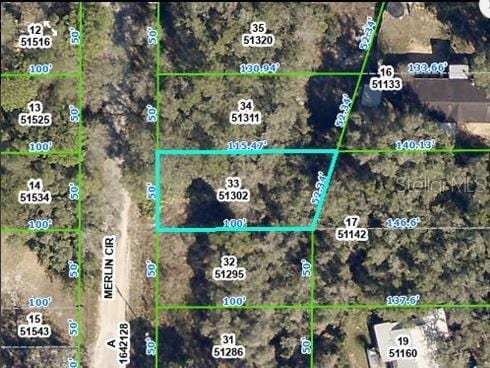 4842 Merlin Cir, Dade City, FL 33523