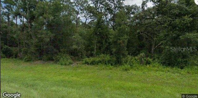 8250 Treiman Blvd, Webster, FL 33597 - photo 2