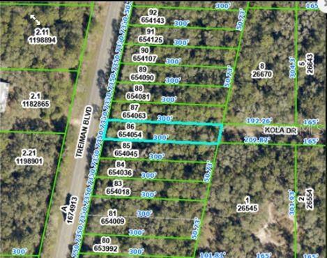 8250 Treiman Blvd, Webster, FL 33597 - photo 3