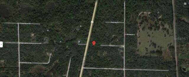 8250 Treiman Blvd, Webster, FL 33597 - photo 4