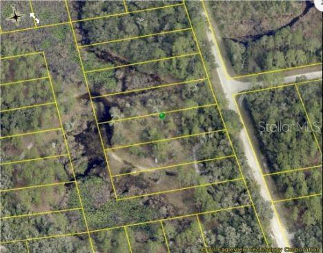 8250 Treiman Blvd, Webster, FL 33597 - photo 5
