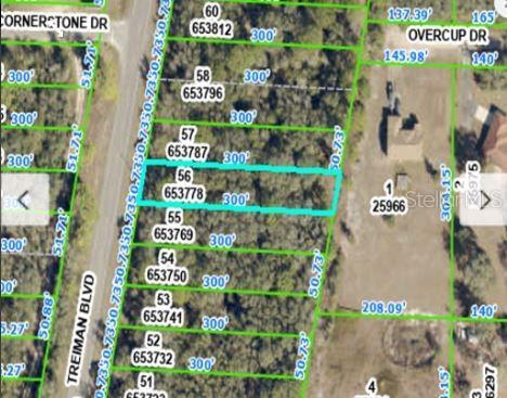 8086 Treiman Blvd, Webster, FL 33597 - photo 4