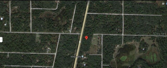 8086 Treiman Blvd, Webster, FL 33597 - photo 5