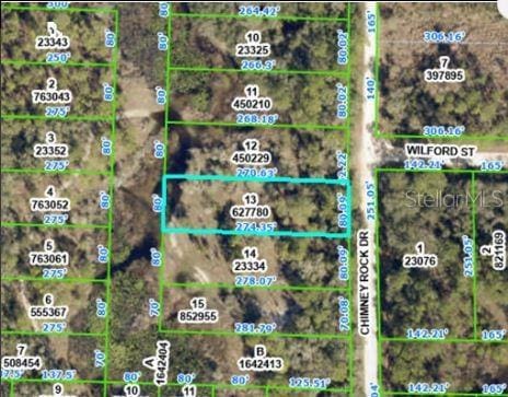Chimney Rock Dr, Webster, FL 33597 - photo 2