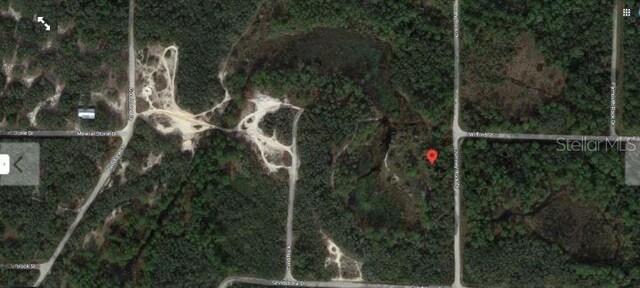 Chimney Rock Dr, Webster, FL 33597 - photo 4