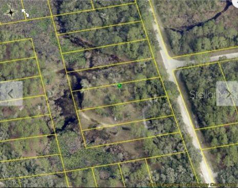 Chimney Rock Dr, Webster, FL 33597 - photo 5