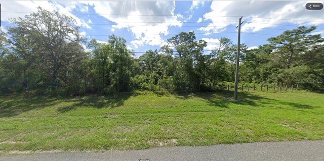 Chimney Rock Dr, Webster, FL 33597 - photo 6
