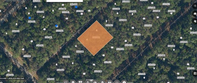 209 SE Paradise Lks, Georgetown, FL 32139 - photo 1