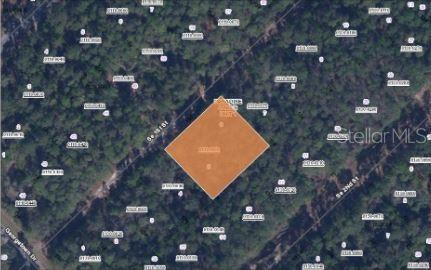 209 SE Paradise Lks, Georgetown, FL 32139 - photo 2