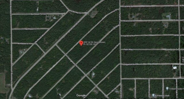 209 SE Paradise Lks, Georgetown, FL 32139 - photo 5