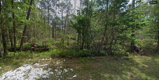 209 SE Paradise Lks, Georgetown, FL 32139 - photo 6