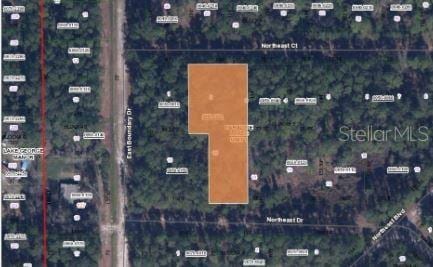103 NE Ct, Georgetown, FL 32139 - photo 3