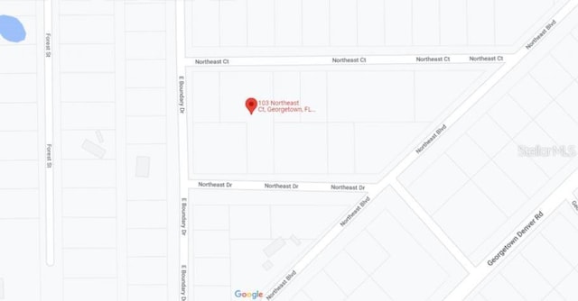103 NE Ct, Georgetown, FL 32139 - photo 4