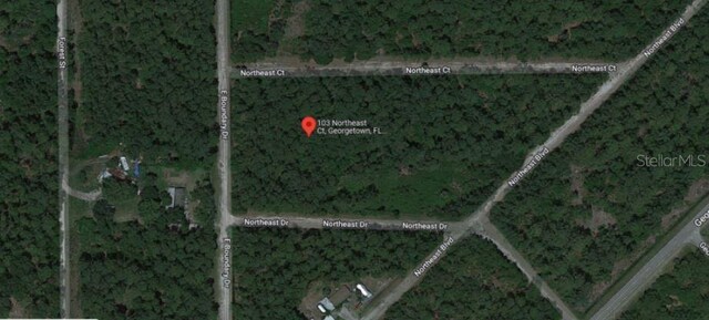 103 NE Ct, Georgetown, FL 32139 - photo 5