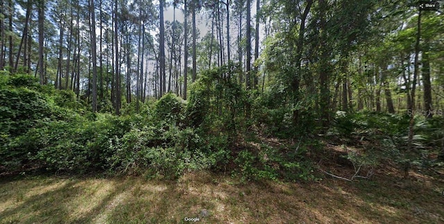 103 NE Ct, Georgetown, FL 32139 - photo 6
