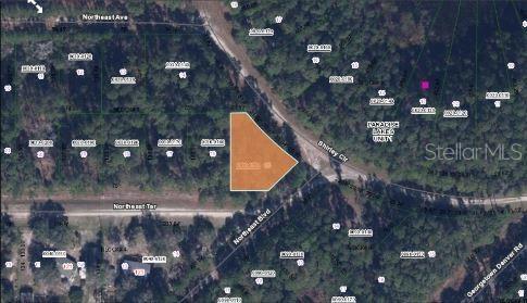 NE Ave, Georgetown, FL 32139 - photo 2