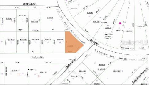 NE Ave, Georgetown, FL 32139 - photo 3