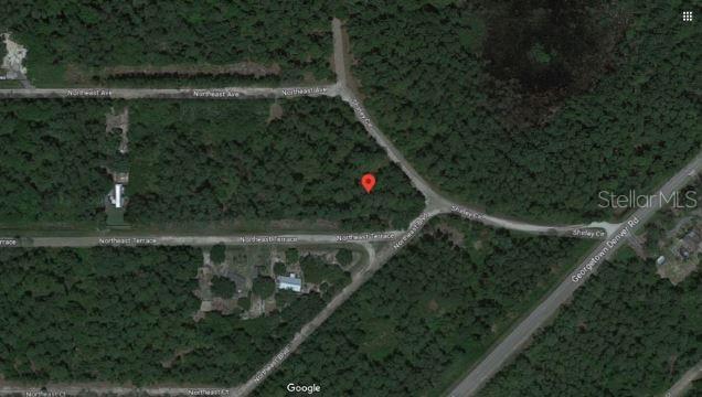 NE Ave, Georgetown, FL 32139 - photo 4