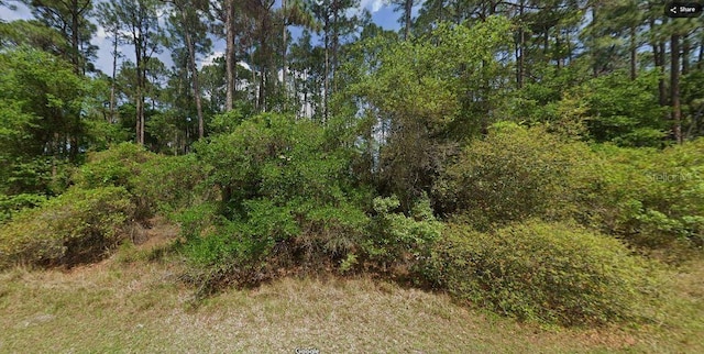NE Ave, Georgetown, FL 32139 - photo 6