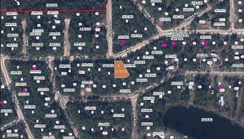 Riley Dr, Interlachen, FL 32148
