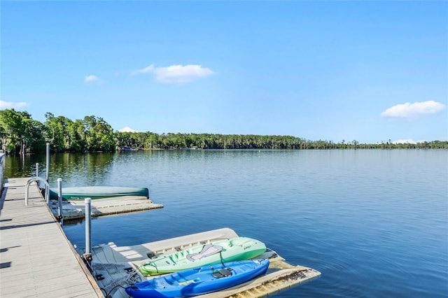 dock area featuring a water view