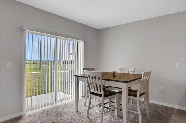 209 Sofia Ln, Lake Alfred, FL 33850 - photo 12