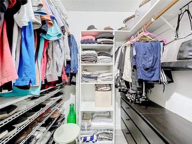 view of spacious closet