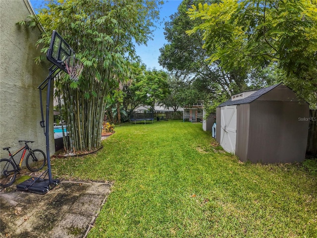 view of yard with a shed