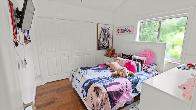 bedroom featuring vaulted ceiling, dark hardwood / wood-style floors, a closet, and multiple windows