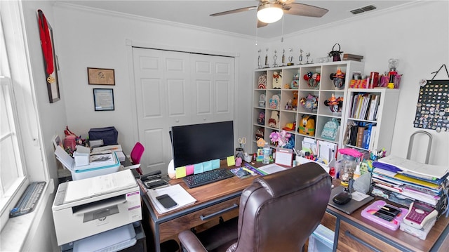 office with crown molding and ceiling fan