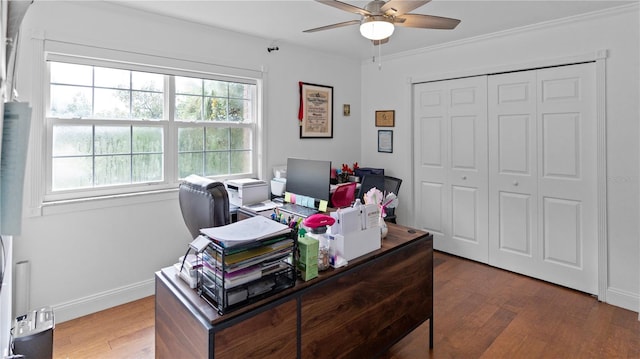 office featuring hardwood / wood-style floors and ceiling fan