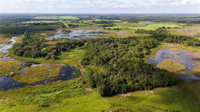 3111 Smith Rd, Groveland, FL 34736 - photo 4