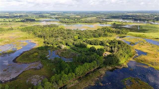 3111 Smith Rd, Groveland, FL 34736 - photo 5