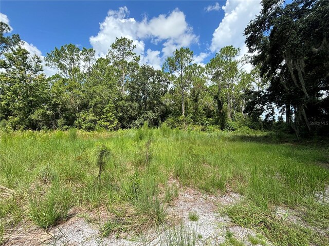 3111 Smith Rd, Groveland, FL 34736 - photo 8