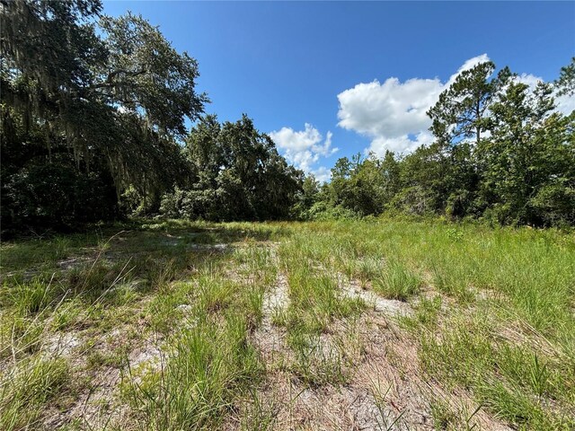 3111 Smith Rd, Groveland, FL 34736 - photo 9