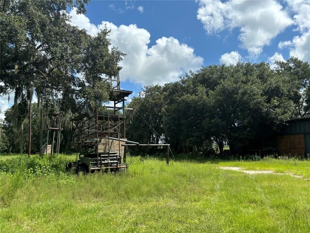 3111 Smith Rd, Groveland, FL 34736 - photo 12