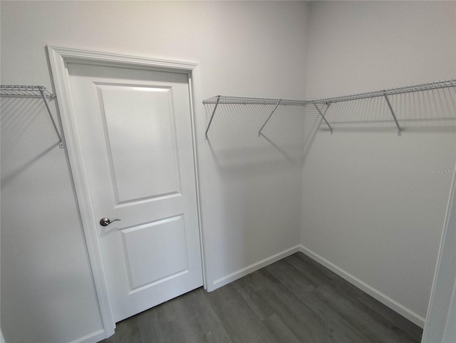 walk in closet with dark hardwood / wood-style flooring