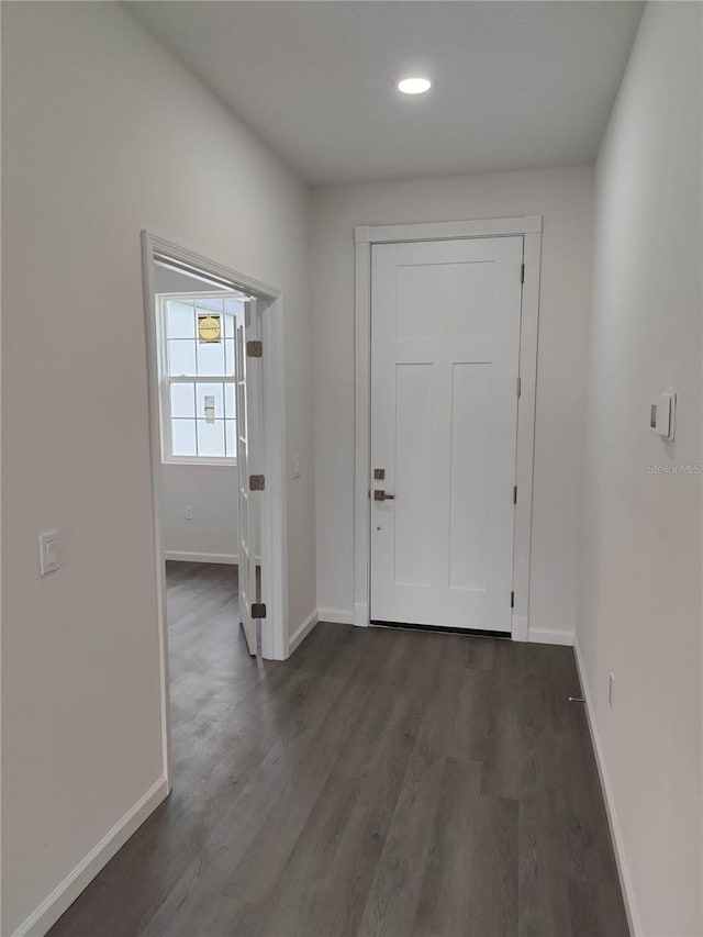 foyer entrance featuring dark hardwood / wood-style floors