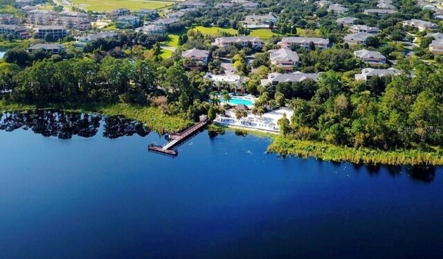 113 Rogues Retreat, Davenport, FL 33897 - photo 10