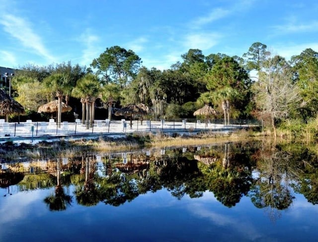 113 Rogues Retreat, Davenport, FL 33897 - photo 17