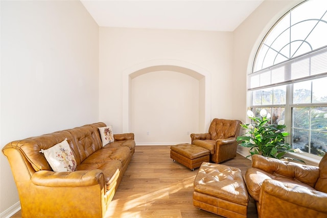 living room with light hardwood / wood-style floors