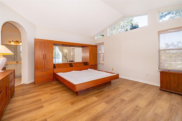 bedroom featuring multiple windows, connected bathroom, light hardwood / wood-style floors, and lofted ceiling