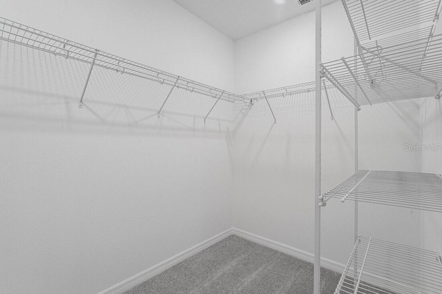 349 River Front Way, Edgewater, FL 32141 - walk in closet with carpet floors